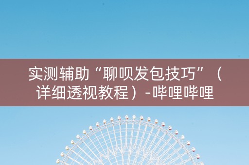 实测辅助“聊呗发包技巧”（详细透视教程）-哔哩哔哩