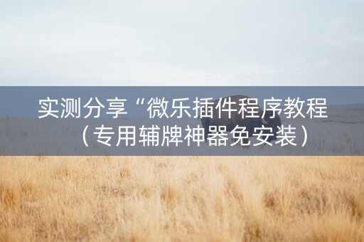 实测分享“微乐插件程序教程（专用辅牌神器免安装）