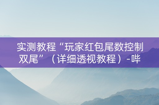 实测教程“玩家红包尾数控制双尾”（详细透视教程）-哔哩哔哩