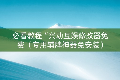 必看教程“兴动互娱修改器免费（专用辅牌神器免安装）