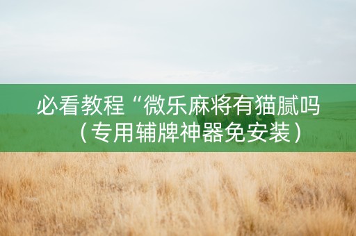 必看教程“微乐麻将有猫腻吗（专用辅牌神器免安装）