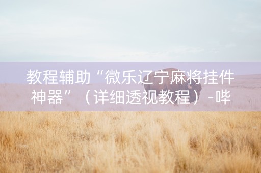 教程辅助“微乐辽宁麻将挂件神器”（详细透视教程）-哔哩哔哩