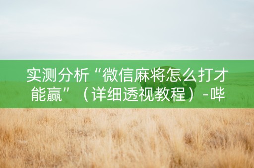 实测分析“微信麻将怎么打才能赢”（详细透视教程）-哔哩哔哩