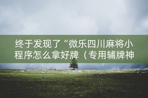 终于发现了“微乐四川麻将小程序怎么拿好牌（专用辅牌神器免安装）