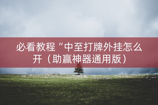 必看教程“中至打牌外挂怎么开（助赢神器通用版）