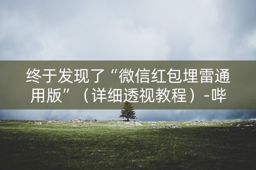 终于发现了“微信红包埋雷通用版”（详细透视教程）-哔哩哔哩