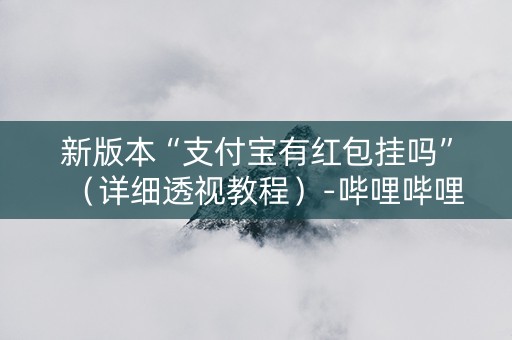 新版本“支付宝有红包挂吗”（详细透视教程）-哔哩哔哩