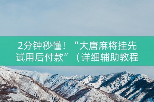 2分钟秒懂！“大唐麻将挂先试用后付款”（详细辅助教程）-哔哩哔哩