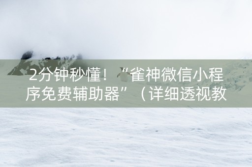 2分钟秒懂！“雀神微信小程序免费辅助器”（详细透视教程）-哔哩哔哩