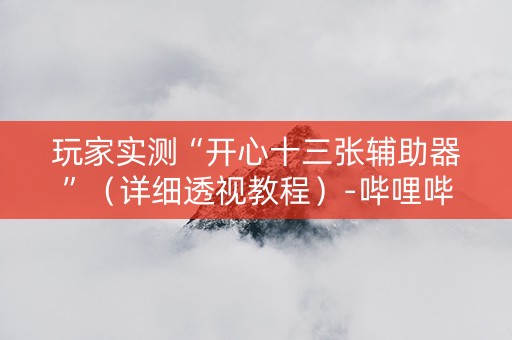 玩家实测“开心十三张辅助器”（详细透视教程）-哔哩哔哩