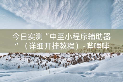 今日实测“中至小程序辅助器”（详细开挂教程）-哔哩哔哩