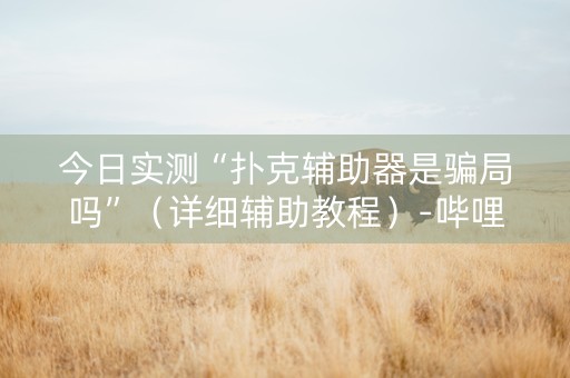 今日实测“扑克辅助器是骗局吗”（详细辅助教程）-哔哩哔哩