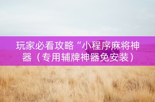 玩家必看攻略“小程序麻将神器（专用辅牌神器免安装）