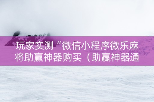 玩家实测“微信小程序微乐麻将助赢神器购买（助赢神器通用版）