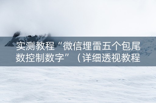 实测教程“微信埋雷五个包尾数控制数字”（详细透视教程）-哔哩哔哩