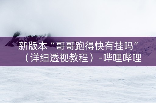 新版本“哥哥跑得快有挂吗”（详细透视教程）-哔哩哔哩