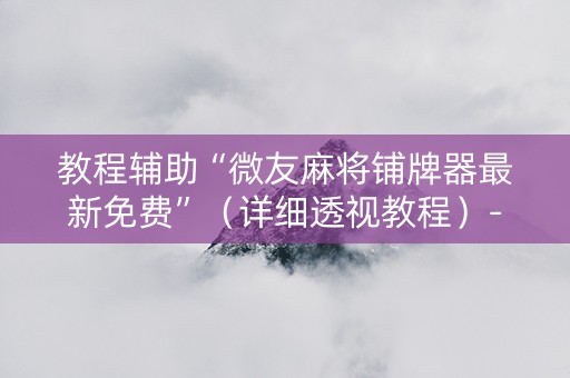 教程辅助“微友麻将铺牌器最新免费”（详细透视教程）-哔哩哔哩