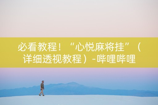 必看教程！“心悦麻将挂”（详细透视教程）-哔哩哔哩
