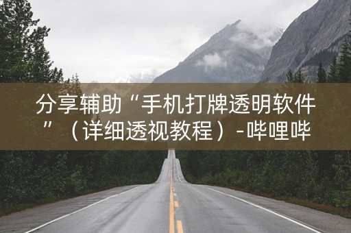 分享辅助“手机打牌透明软件”（详细透视教程）-哔哩哔哩