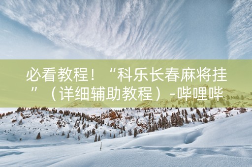 必看教程！“科乐长春麻将挂”（详细辅助教程）-哔哩哔哩