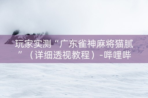 玩家实测“广东雀神麻将猫腻”（详细透视教程）-哔哩哔哩