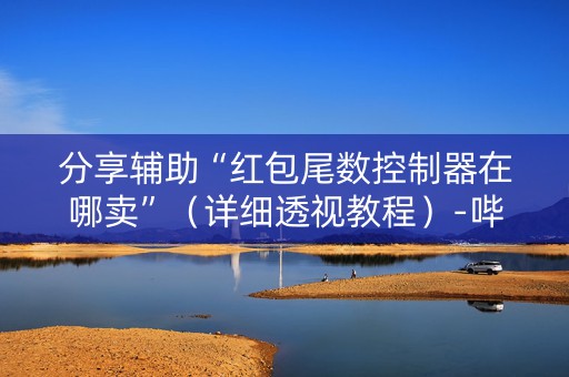 分享辅助“红包尾数控制器在哪卖”（详细透视教程）-哔哩哔哩