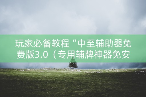 玩家必备教程“中至辅助器免费版3.0（专用辅牌神器免安装）