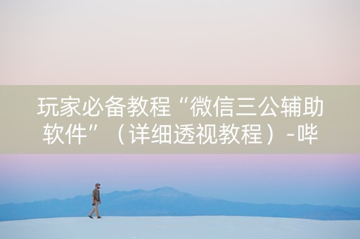 玩家必备教程“微信三公辅助软件”（详细透视教程）-哔哩哔哩