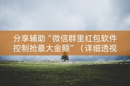 分享辅助“微信群里红包软件控制抢最大金额”（详细透视教程）-哔哩哔哩