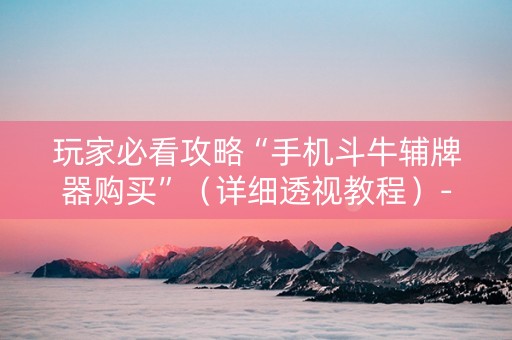 玩家必看攻略“手机斗牛辅牌器购买”（详细透视教程）-哔哩哔哩