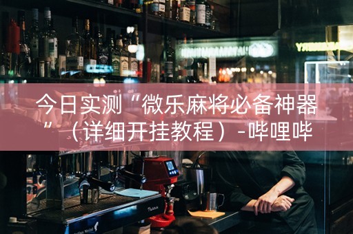 今日实测“微乐麻将必备神器”（详细开挂教程）-哔哩哔哩