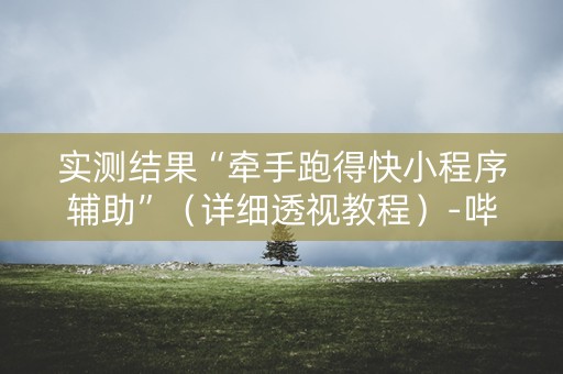 实测结果“牵手跑得快小程序辅助”（详细透视教程）-哔哩哔哩