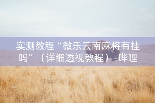 实测教程“微乐云南麻将有挂吗”（详细透视教程）-哔哩哔哩