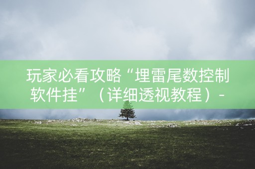 玩家必看攻略“埋雷尾数控制软件挂”（详细透视教程）-哔哩哔哩