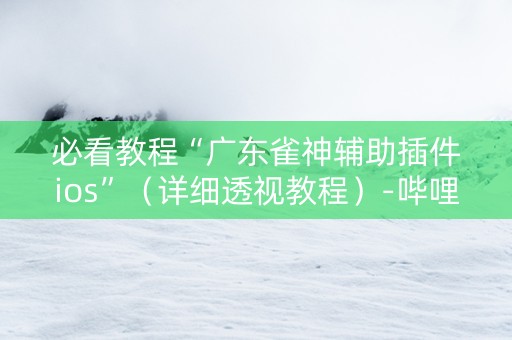 必看教程“广东雀神辅助插件ios”（详细透视教程）-哔哩哔哩