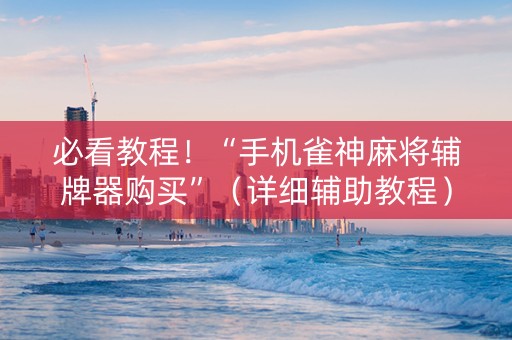 必看教程！“手机雀神麻将辅牌器购买”（详细辅助教程）-哔哩哔哩