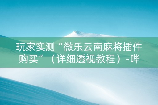 玩家实测“微乐云南麻将插件购买”（详细透视教程）-哔哩哔哩