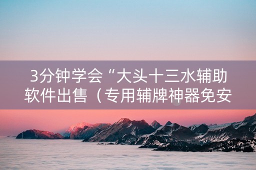 3分钟学会“大头十三水辅助软件出售（专用辅牌神器免安装）