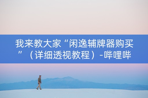 我来教大家“闲逸辅牌器购买”（详细透视教程）-哔哩哔哩
