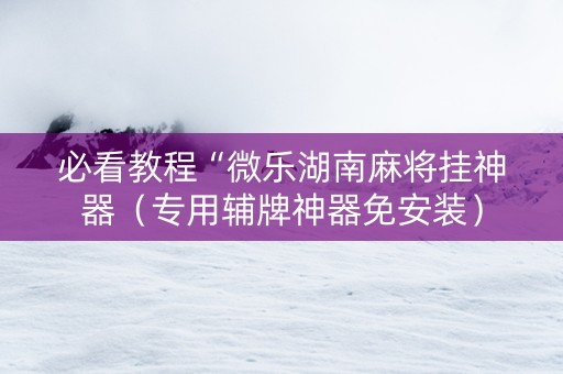 必看教程“微乐湖南麻将挂神器（专用辅牌神器免安装）