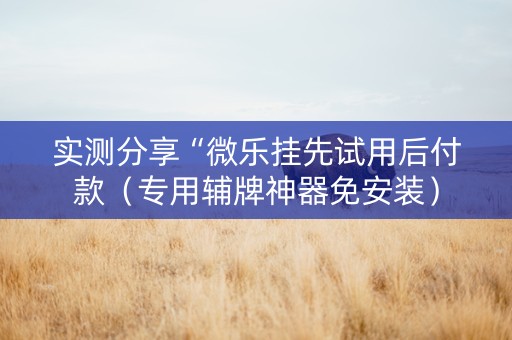实测分享“微乐挂先试用后付款（专用辅牌神器免安装）