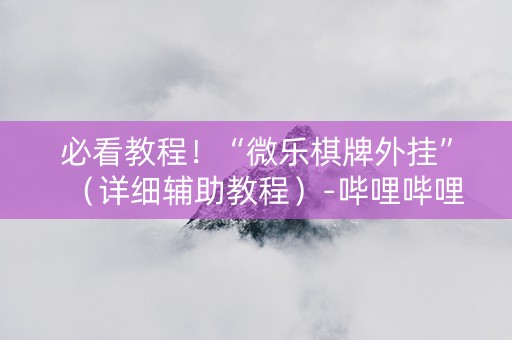 必看教程！“微乐棋牌外挂”（详细辅助教程）-哔哩哔哩