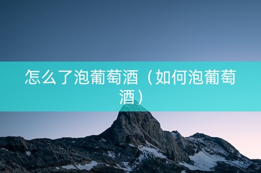 怎么了泡葡萄酒（如何泡葡萄酒）