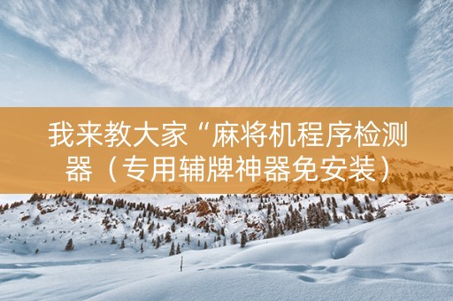 我来教大家“麻将机程序检测器（专用辅牌神器免安装）
