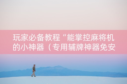玩家必备教程“能掌控麻将机的小神器（专用辅牌神器免安装）