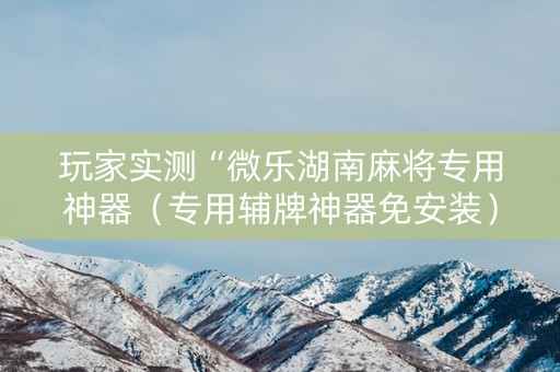 玩家实测“微乐湖南麻将专用神器（专用辅牌神器免安装）