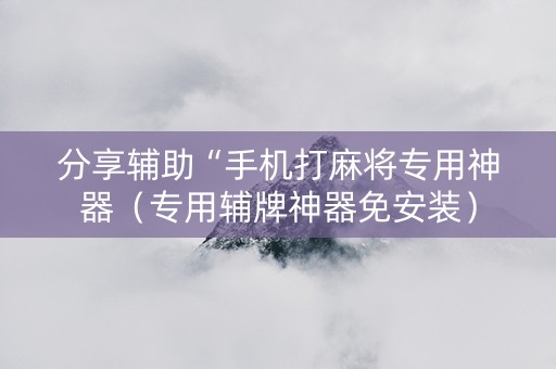 分享辅助“手机打麻将专用神器（专用辅牌神器免安装）