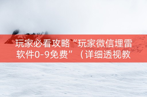 玩家必看攻略“玩家微信埋雷软件0-9免费”（详细透视教程）-哔哩哔哩