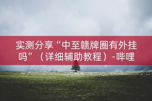 实测分享“中至赣牌圈有外挂吗”（详细辅助教程）-哔哩哔哩