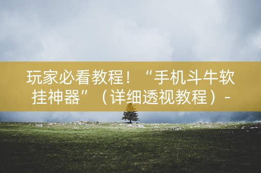 玩家必看教程！“手机斗牛软挂神器”（详细透视教程）-哔哩哔哩